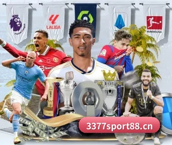 3377体育sport88 APP